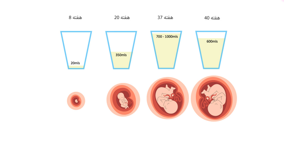 میزان مایع دور جنین در ماه های مختلف بارداری