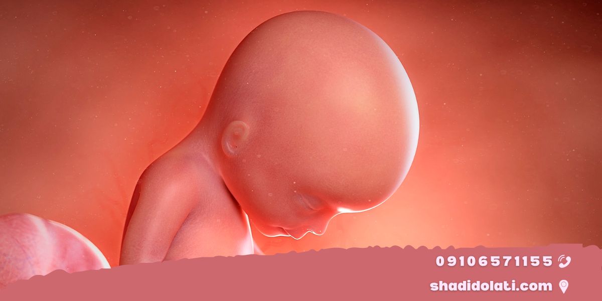 عوارض کم‌خونی در بارداری بر روی جنین
